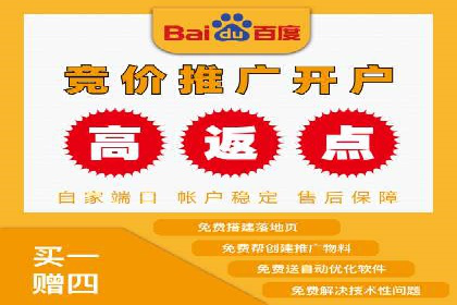 竞价广告在XX行业的成功应用案例